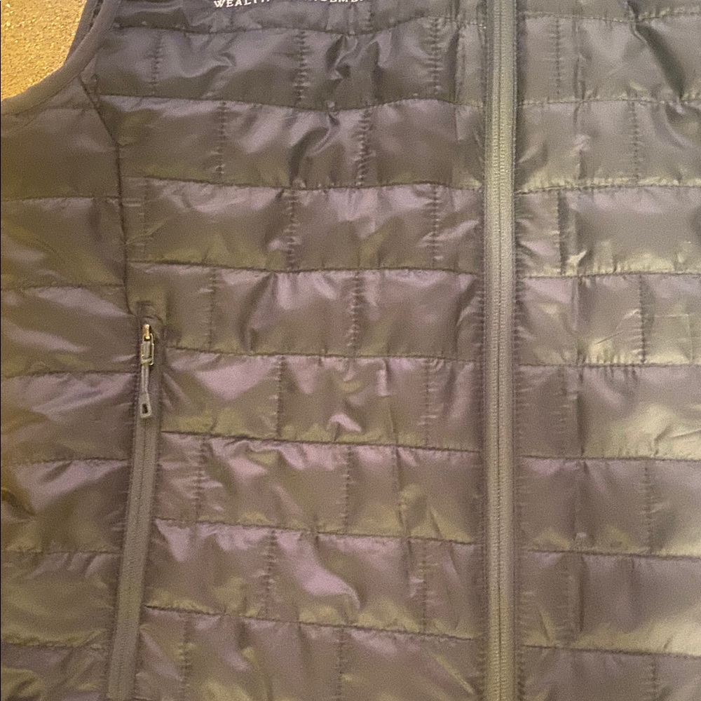 PATAGONIA BRANDED WINTER GREY SLIM BRICK QUILTED VEST Jacket CLASSIC RA… - Picture 8 of 14